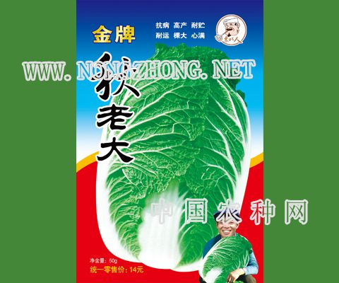 秋老大
